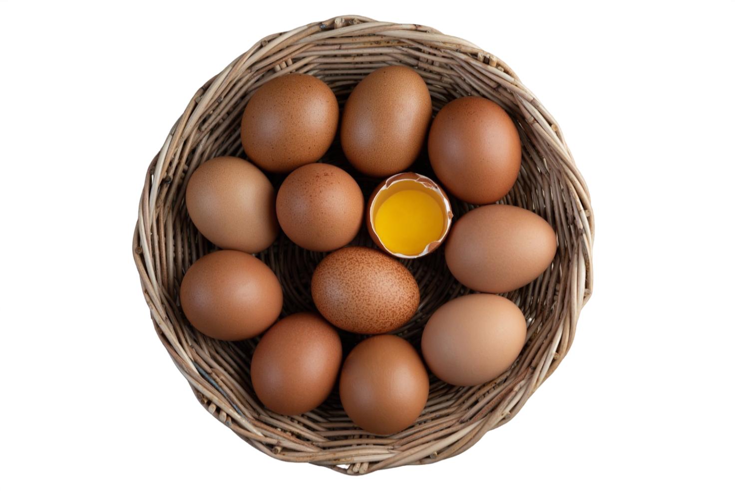 Brown Eggs