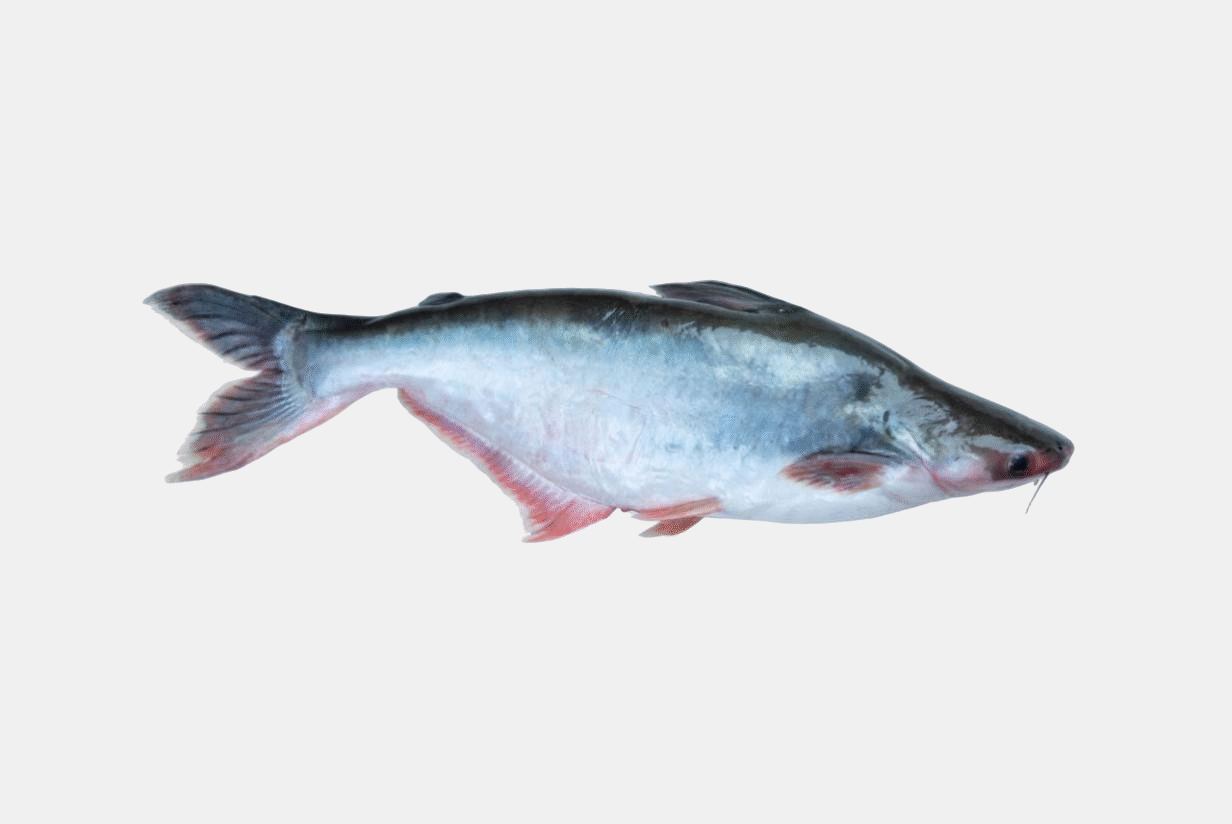 APOLLO FISH KEEMA