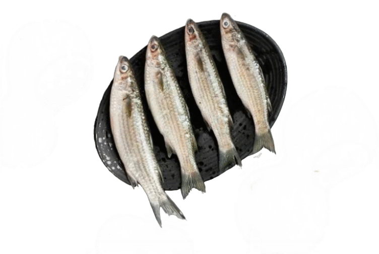 MULLET